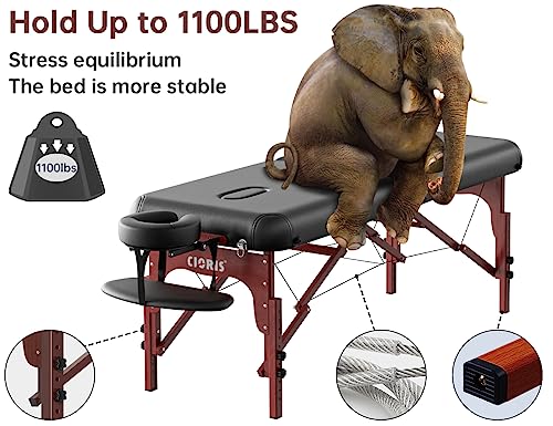 CLORIS 84" Professional Massage Table Portable 2 Folding Lightweight Facial Solon Spa Tattoo Bed Height Adjustable with Carrying Bag & Aluminium Leg