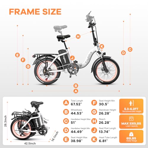 Folding Electric Bike for Adults with Peak 1000W Motor, 48V 20AH Battery up to 30MPH 80 Miles, 20" Fat Tire All Terrain Ebike