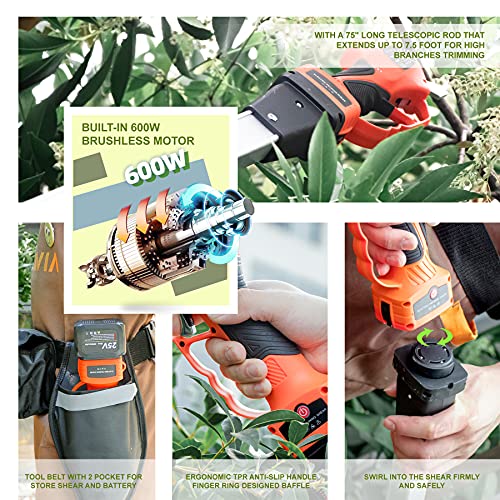 T TOVIA Cordless Electric Pruner Kit, 1.6 Inch Pruning Shears and 5 Inch Handheld Electric Chain Saw with 75 Inch Foldable Extension Pole