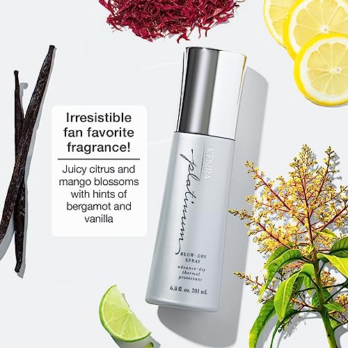 Kenra Platinum Blow-Dry Spray | Time-Saving Heat Protectant | Detangles, Smooths