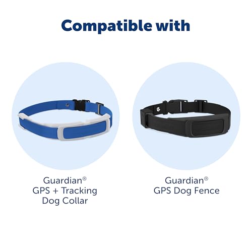 PetSafe Guardian GPS Dog Fence – No Subscription – Create Your Own Wireless Fence for Dogs – for Yards 3/4 Acres or Larger – World's Safest GPS Dog