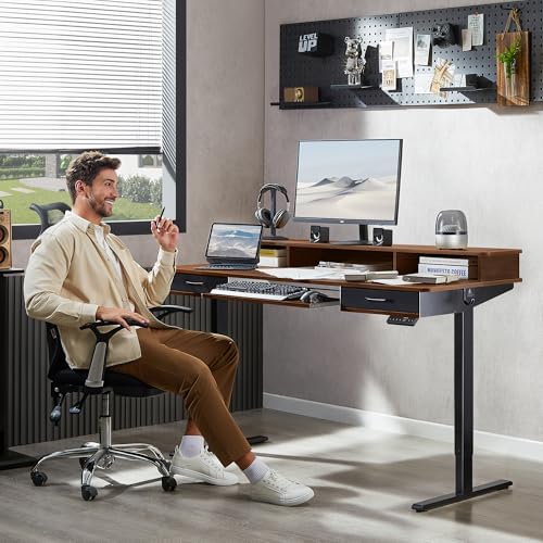 48x24 Inches Electric Standing Desk with 2 Drawers, Height Adjustable Stand up Desk for Home Office, Ergonomic Sit to Stand Table with Storage Shelf