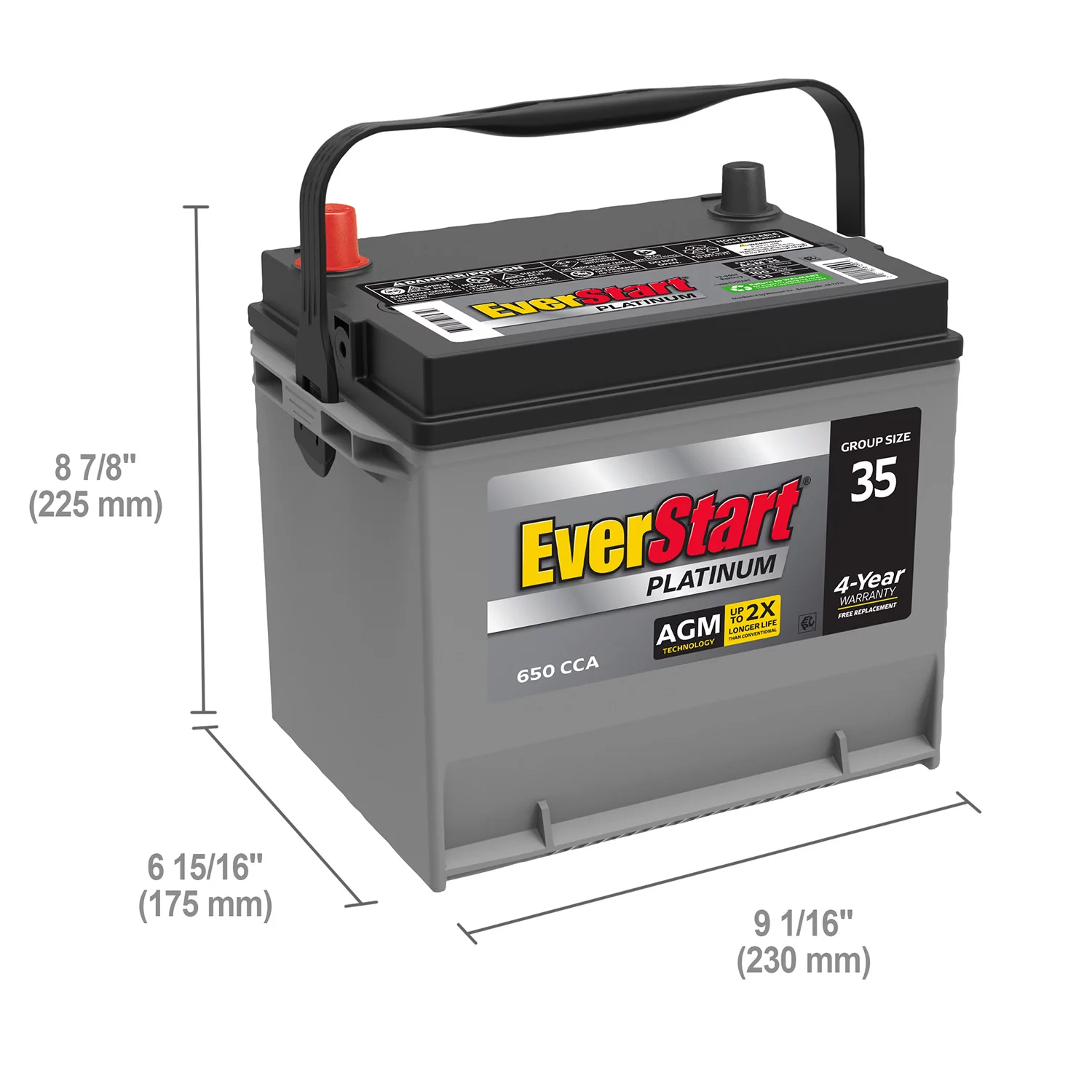 EverStart Platinum AGM Automotive Battery, Group Size 35 12 Volt, 650 CCA - Radiant Selections