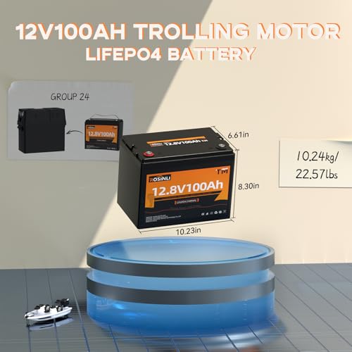 12V 100Ah BCI Group 24 LiFePO4 Battery, Built in 100A BMS, Max. 15000 Deep Cycle Lithium Rechargeable Battery for RV, Trolling Motor, Camping, Marine