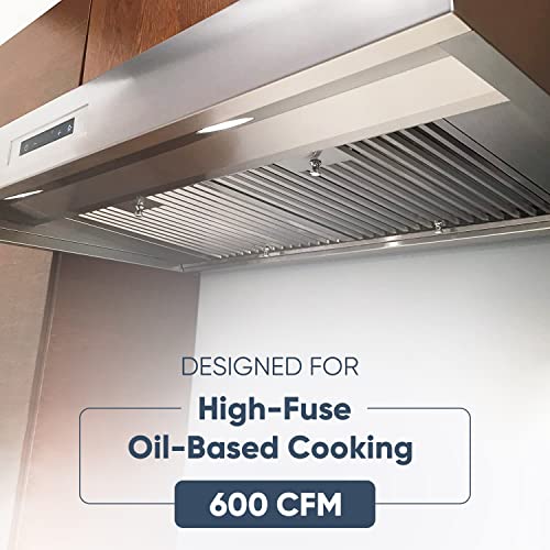 West Wind Slim Pro Style Under -Cabinet Range Hood in Stainless Steel