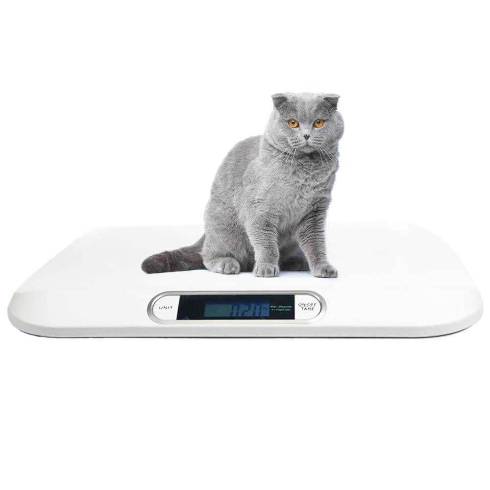 Digital Portable Pet Dog Cat Scale 44 lb x 0.22 lb by IBE SUPPLY