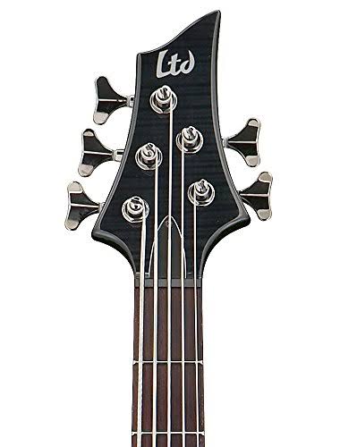 ESP LTD F-415FM Flame Maple See Thru Black 5-String Bass Guitar