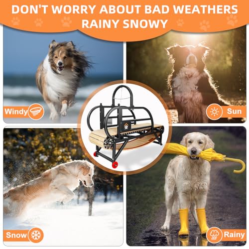 Dog Treadmill 77inches Extended and Enlarged Suitable for Medium to Large Dogs, Weighing Under 300 pounds