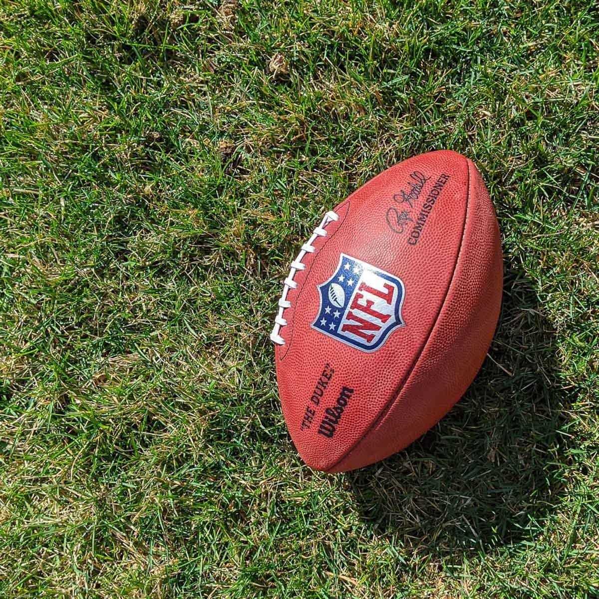 Wilson The Duke Official NFL Game Football - Sports Supplies Online Store