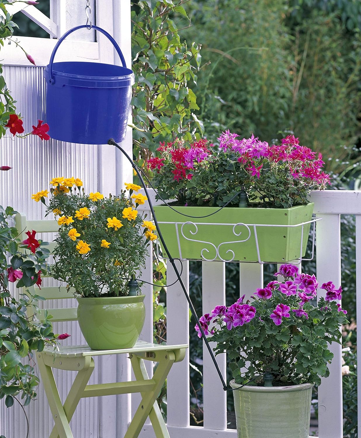 Blumat Drip System - 6 Pack Small Kit with Reservoir - Smart Automatic Watering System, Great for Vacation, Made in Austria