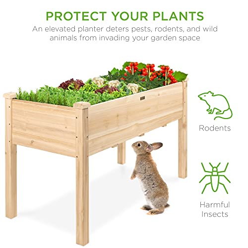 Best Choice Products 72x23x30in Raised Garden Bed, Elevated Wood Planter Box Stand for Backyard, Patio, Balcony w/Divider Panel, 6 Legs