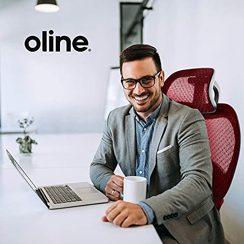 Oline ErgoPro Ergonomic Office Chair, Rolling Desk Chair with 4D Adjustable Armrest, 3D Lumbar Support, Blade Wheels
