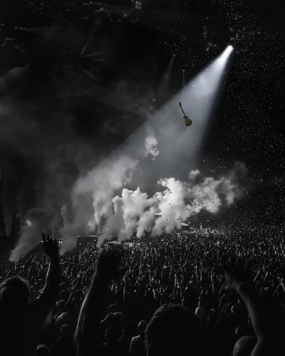 FLP350 Electric Guitar, 39" Solid Body Electric Guitar, Electric Guitar Kit with Dual Humbuckers, Mahogany Neck, Matte Finish, 22 Frets