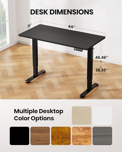 ErGear Height Adjustable Electric Standing Desk, 48 x 24 Inches Sit Stand up Desk, Memory Computer Home Office Desk with Two-Piece Desktop (Walnut)