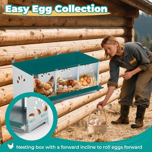 Chicken Coop Nesting Boxes, Wall Mountable Metal Chicken Nesting Box, Easy Egg Collection Roll Away Nesting Boxes Chicken
