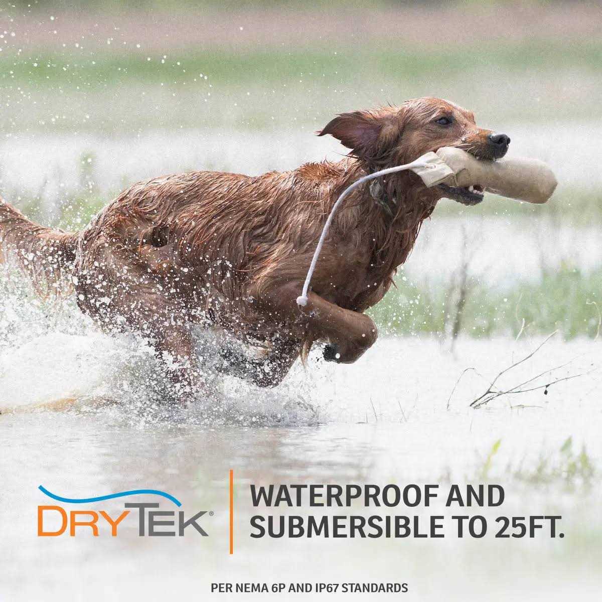 SportDOG FieldTrainer - Pet Supplies online store
