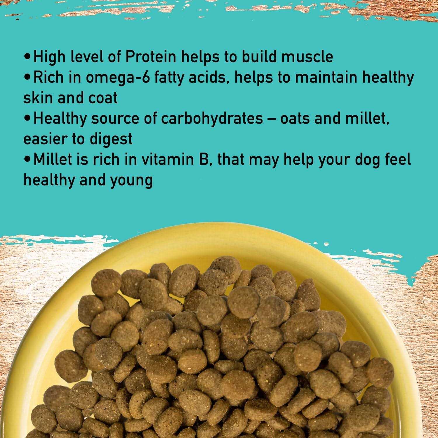 Inception Dog Food - Pet Supplies online store