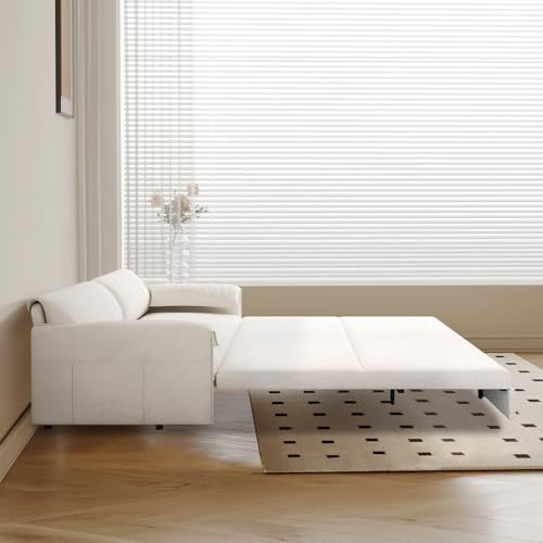 66-Inch Queen Size Convertible Sleeper Sofa Bed, 3-in-1 Pull-Out Futon Loveseat, Velvet Love Seat Couch with Side Pocket for Living Room, Office