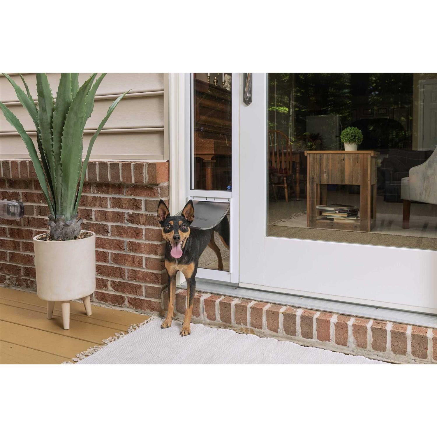 PetSafe Sliding Glass Pet Door - Pet Supplies online store