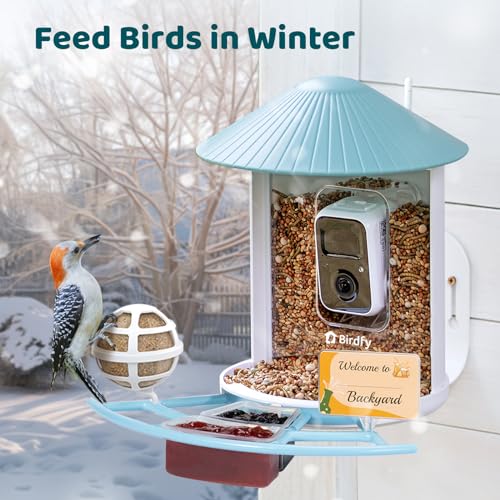 NETVUE Birdfy® Pro Bird Feeder with Camera, Wider Perch DIY Add-ons, Hummingbird Feeder, Suet Ball, Jelly Feeder