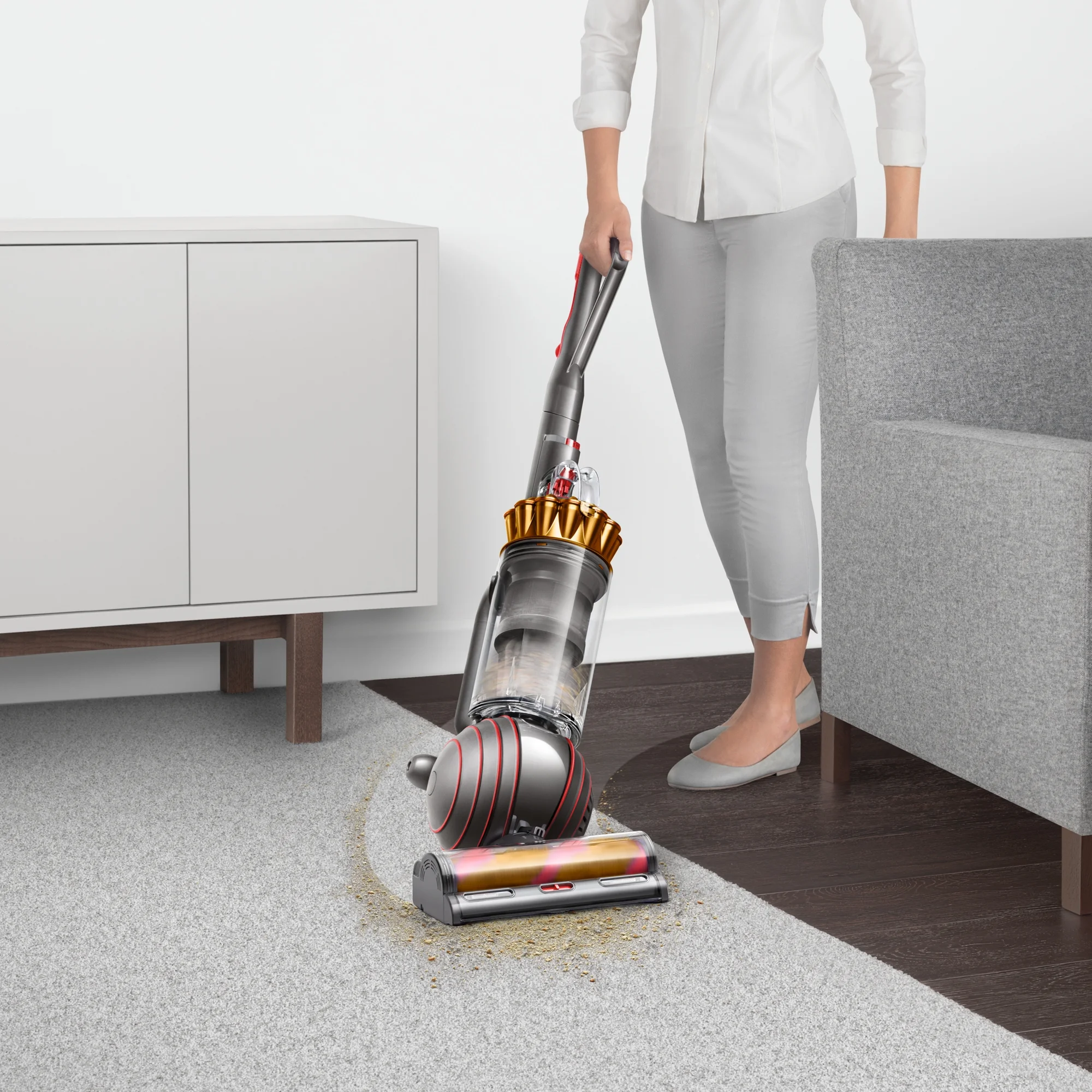 Dyson Ball Animal 3 Complete Upright Vacuum | Gold | New