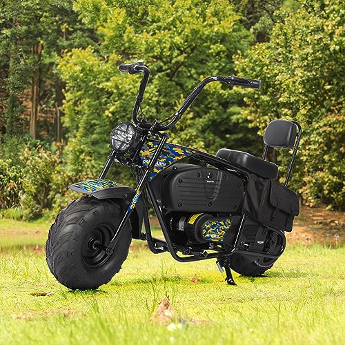 Oryxearth Electric Mini Dirt Bike, 36V Battery 1000W Motor Electrical Powered Motorcycle for Kids, 2 Speeds-15.5MPH/22 MPH, 2 Hanging Bags