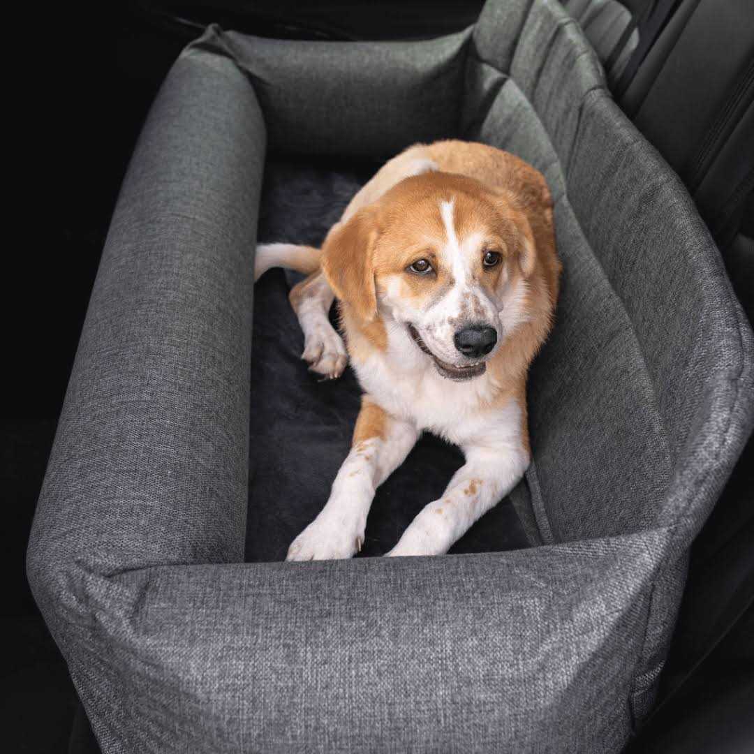 Paw PupProtector Memory Foam Dog Car Bed Gray Full Back Seat - Pet Supplies online store