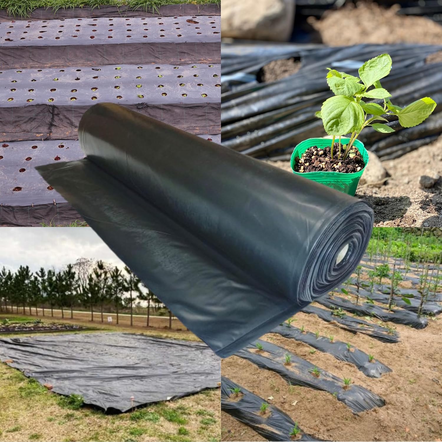 Farm Plastic Supply - Weed Control 6 Mil Black Plastic Sheeting - Heavy Duty Weed Barrier Landscape Fabric for Outdoor Gardens