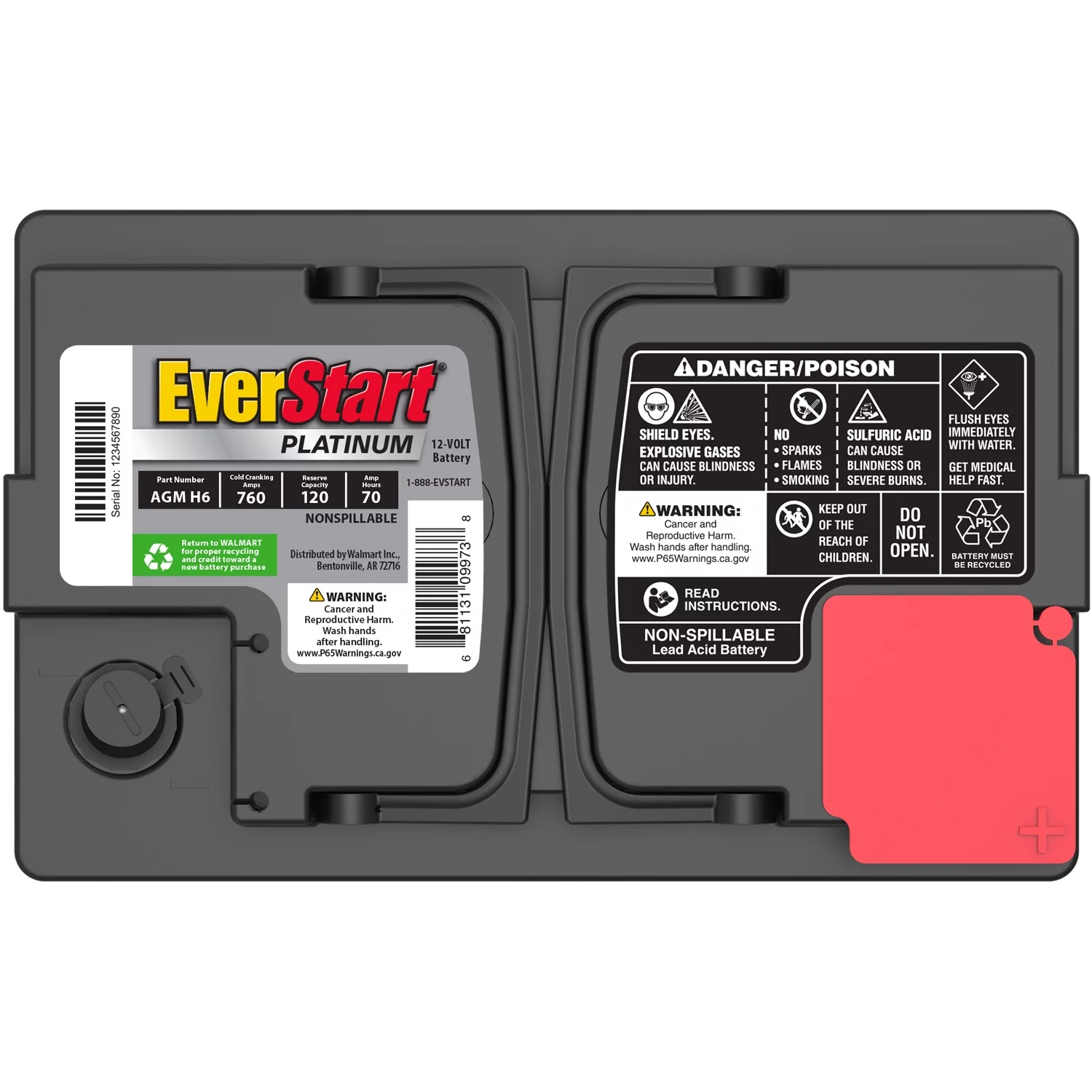 EverStart Platinum BOXED AGM Automotive Battery, Group Size H6 / LN3 / 48 12 Volt, 760 CCA - Radiant Selections