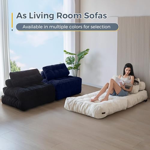 MAXYOYO Folding Sofa Bed, Convertible Sleeper Chair with Pillow Foldable Mattress with Back Support