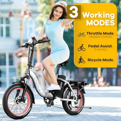 1000W Folding Electric Bike,48V 20AH Removable Battery E Bike,30+MPH,80 Miles Max Range Electric Bike for Adults,20" Fat Tire Foldable ebike
