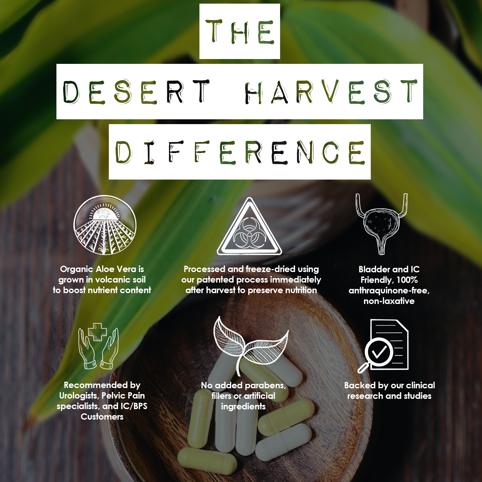 Desert Harvest Interstitial Cystitis Starter Kit - Super Strength Aloe Vera Capsules + Calcium Glycerophosphate + Quercetin, for IC & Bladder Support
