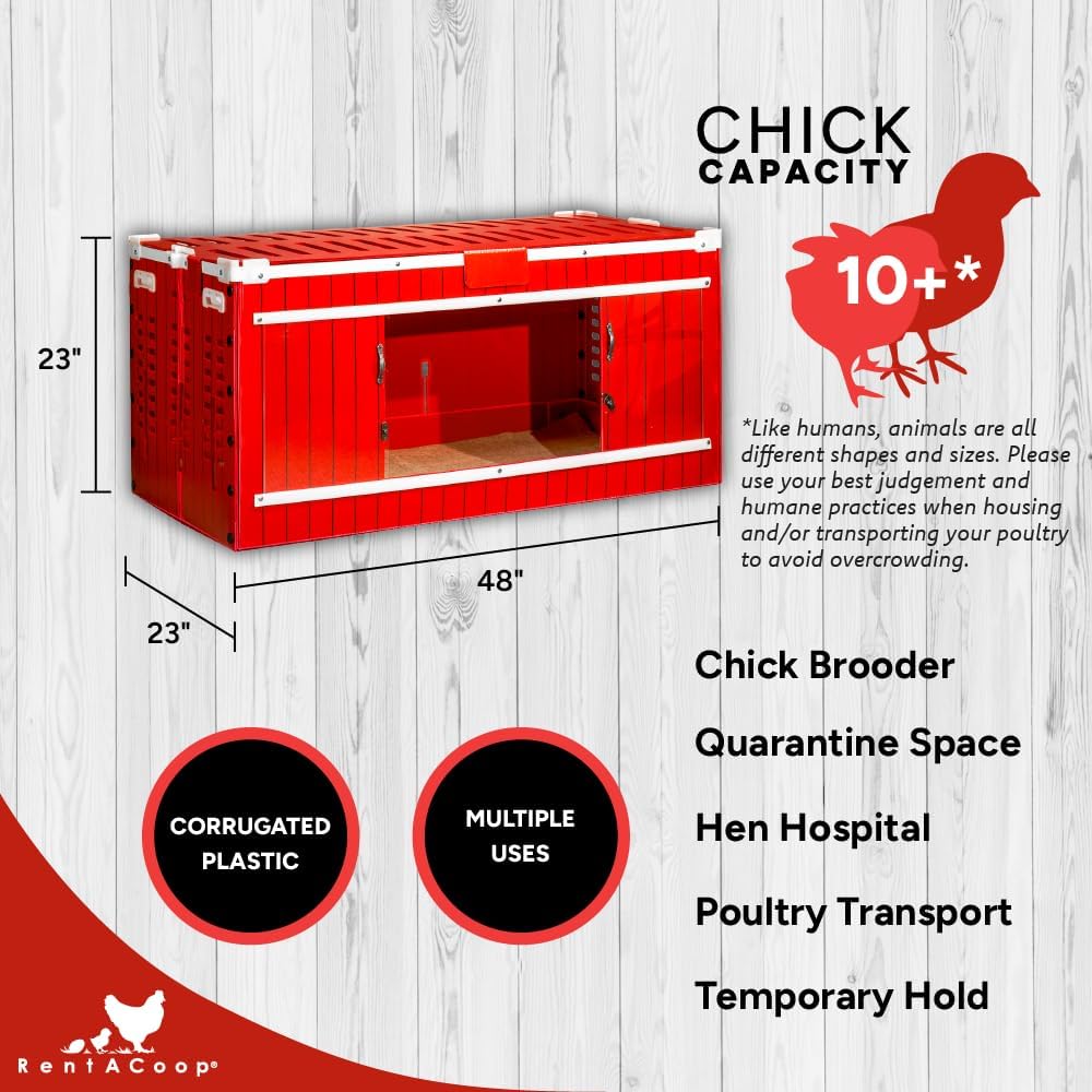 RentACoop Big Red Barn Chick Brooder Set with Chick Heating Plate with Anti-Roost Cone, Two 2.5 Pound Chick Feeders, Two 64 Ounce Chick Drinkers