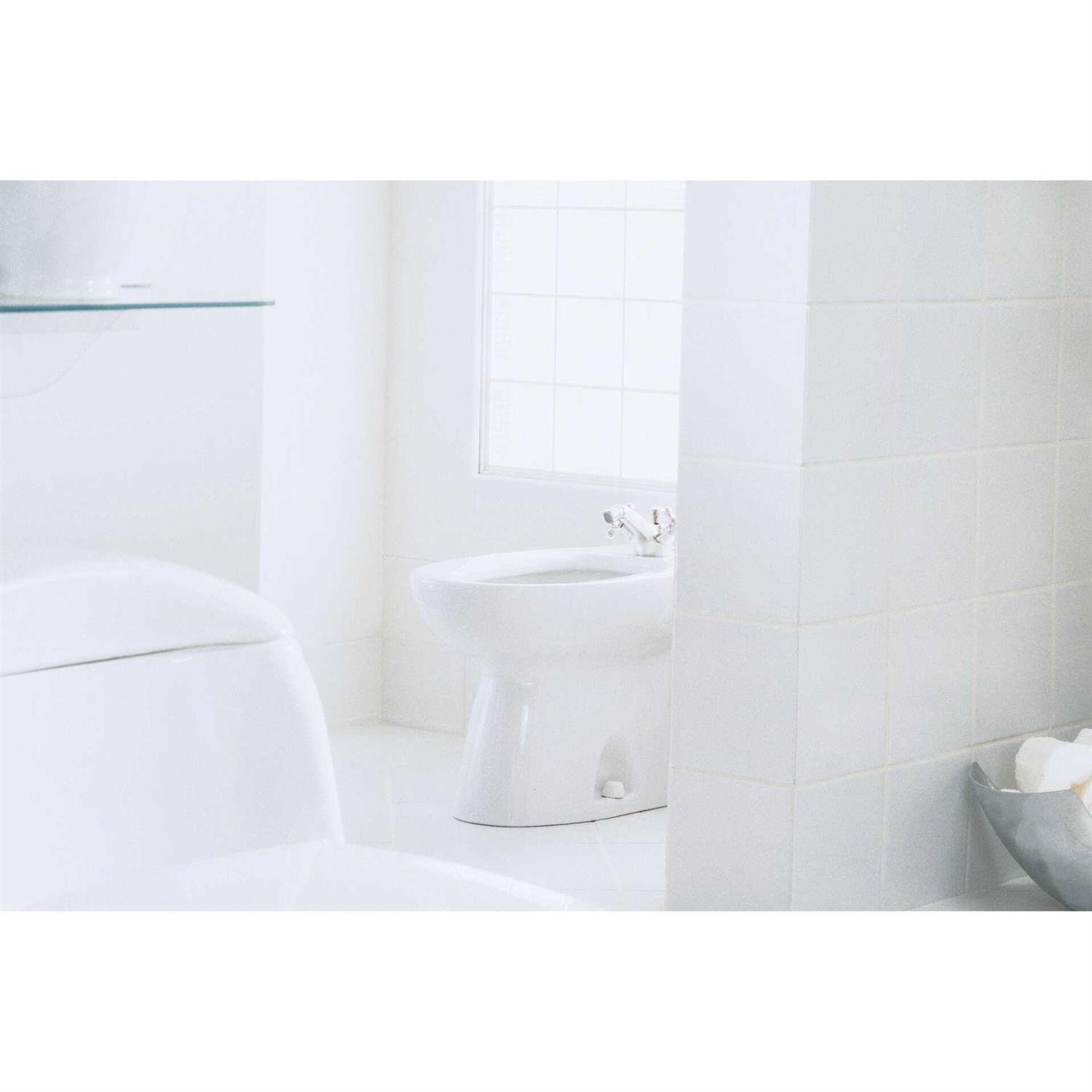 TOTO BT500AR# Piedmont Bidet - Shop Hardware Tools Online Store