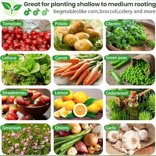 4 Pack 6x2FT Galvanized Raised Garden Bed Outdoor,Metal Garden Bed for Vegetables,Steel Raised Beds for Gardening,Above Ground Garden Box for Flower