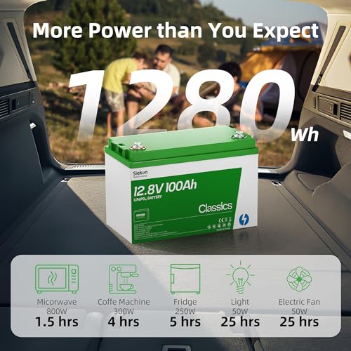 Lithium LiFePO4 Deep Cycle Battery, Low-temp Protection, 4000-15000 Cycletimes, Perfect for Homeback up Power, Solar Power, Off-Grid