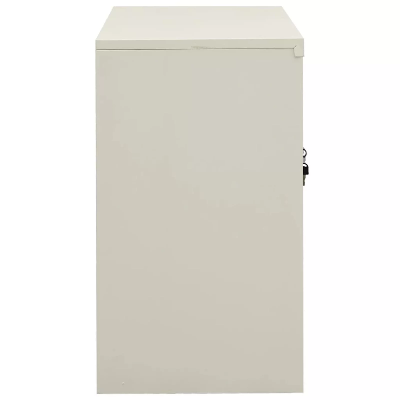 Anself Office Cabinet with Adjustable Storage Shelf and 2 Glass Door Steel Filing Cabinet Light Gray for Living Room, Bedroom