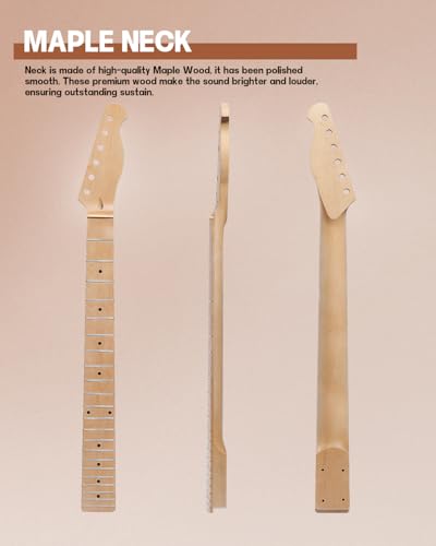 Leo Jaymz DIY Single Cut Electric Guitar Kits with Mahogany Body and Neck - Rosewood Fingerboard and All Components Included (LP Hollow)