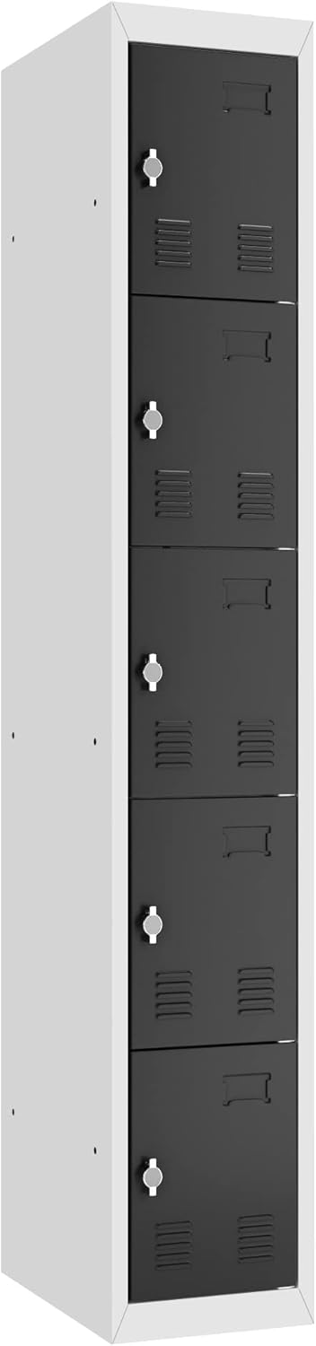 GangMei Steel Locker Storage Cabinet, Metal Wall Lockers for School, Gym, Home, Storage Cabinet Perfect for Office (5 Door)
