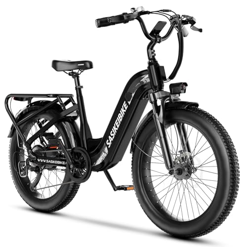 1500W Motor Peak Electric Bike for Adults and Teenagers, 48V 20AH Removable Battery Step Thru EBike, 30+MPH, 80 Miles Max Range