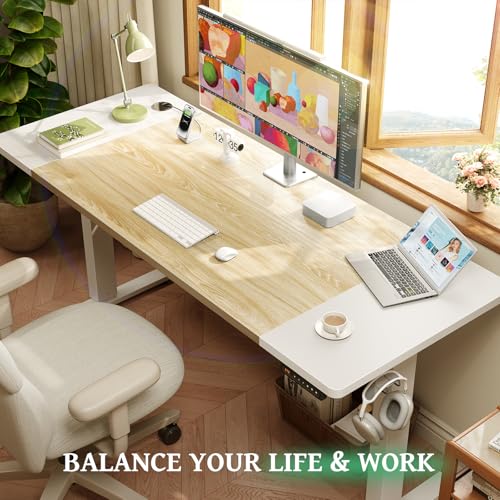 SIAGO Electric Standing Desk Adjustable - 48 x 24 Inch Sit Stand up Desk with Cable Management - 3 Memory Preset Adjustable Height Table
