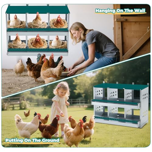 Chicken Coop Nesting Boxes, Wall Mountable Metal Chicken Nesting Box, Easy Egg Collection Roll Away Nesting Boxes Chicken