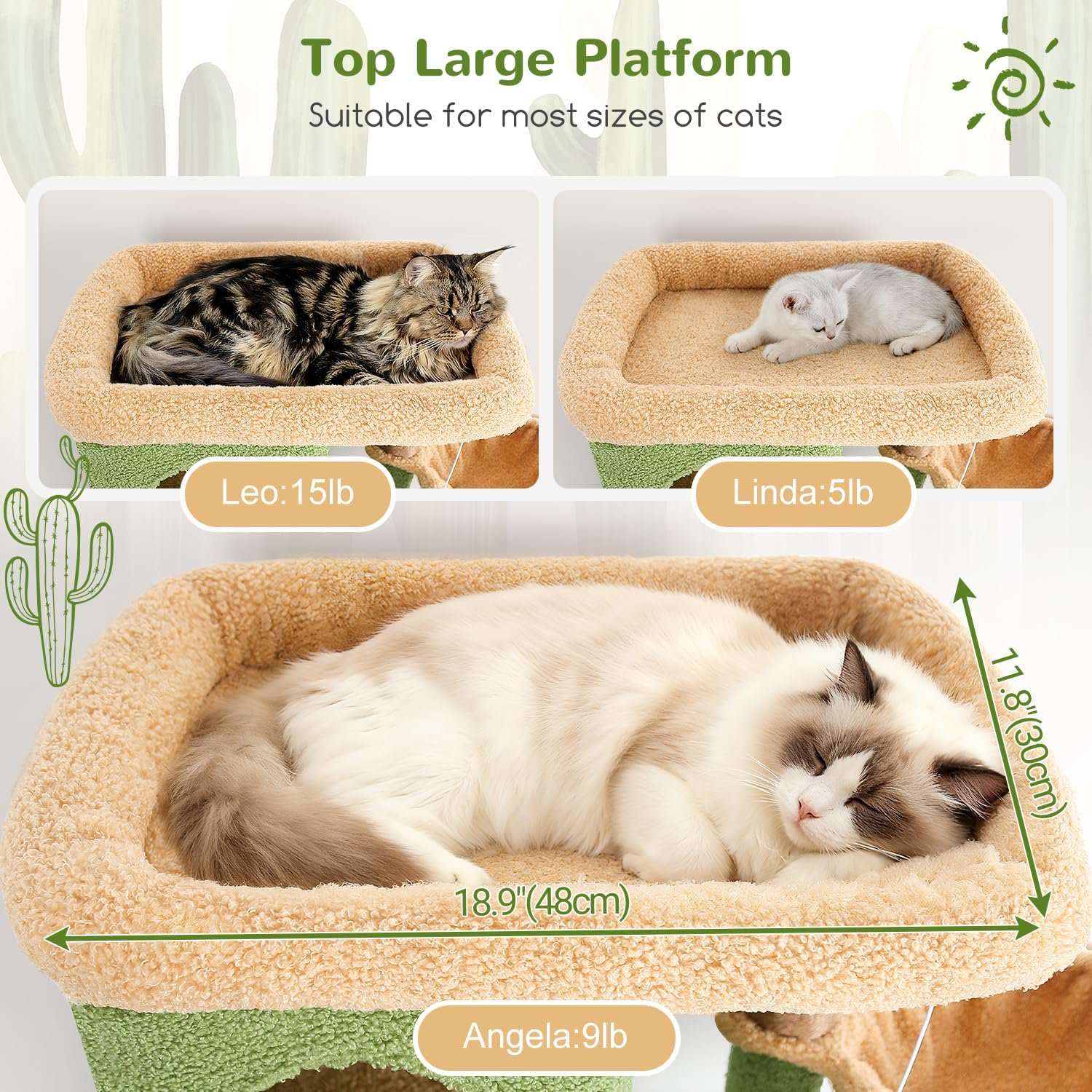 Corner Cactus  Tree 66 inch Multi-Level Cactus Climbing Tower Kitty Condos   Tower for Indoor Multiple Cats with Large Platform, 3  Caves, F66,