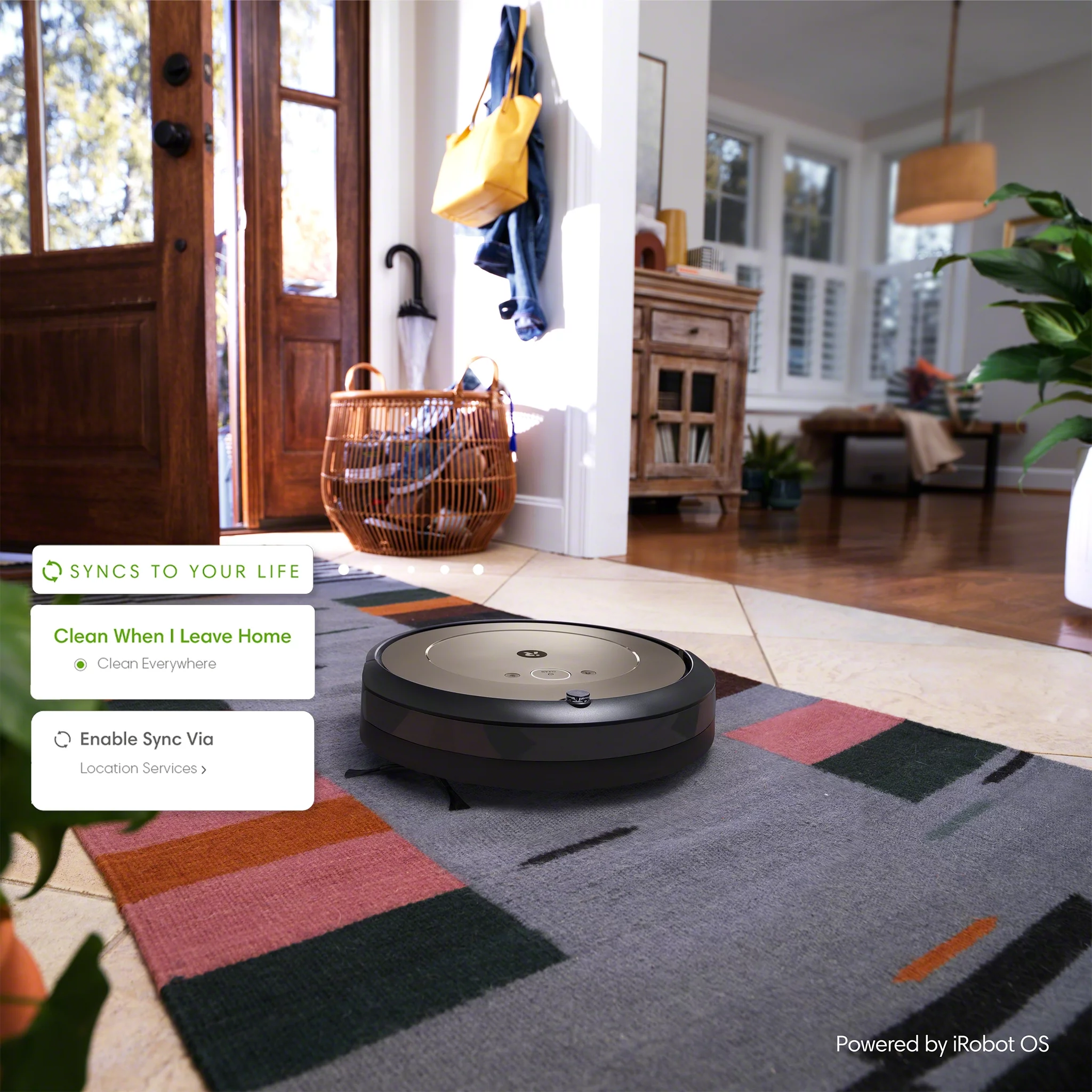 iRobot® Roomba® i1+ (1552) Wi-Fi Connected Self-Emptying Robot Vacuum, Ideal for Pet Hair, Carpets