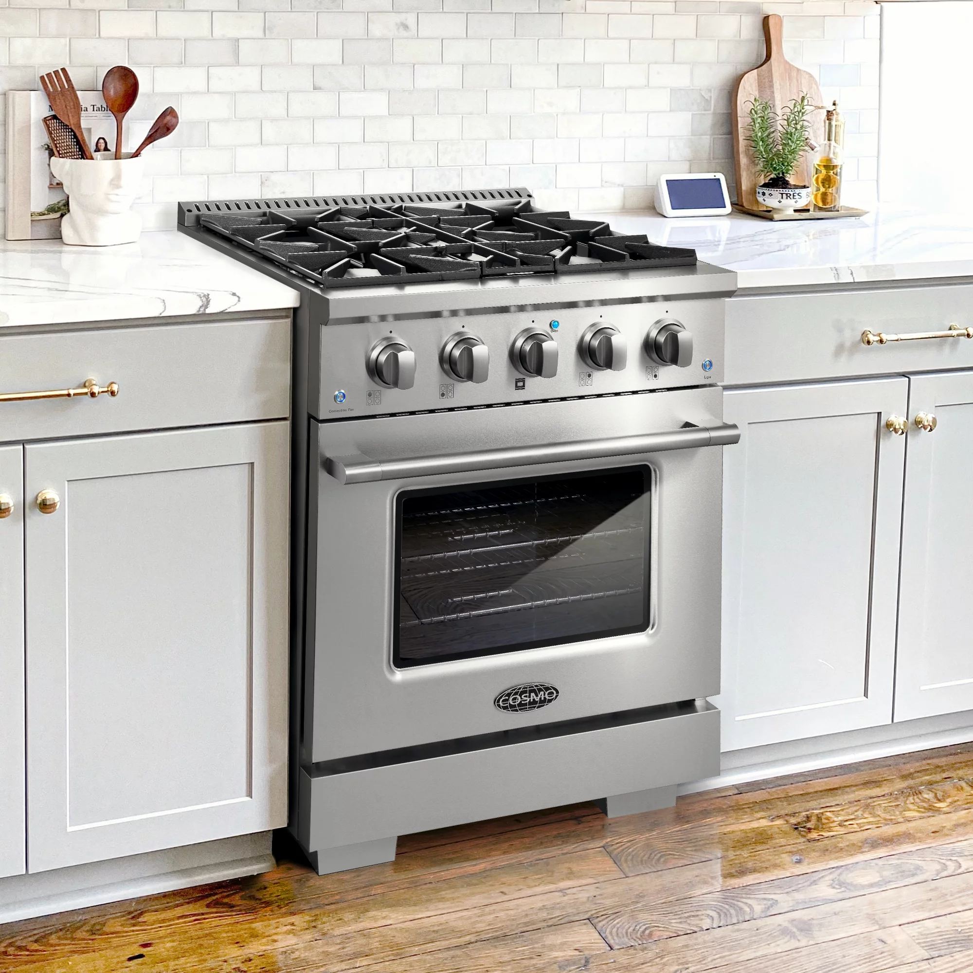 30 in. 3.5 cu. ft. Gas Range with 4 Burners in Stainless Steel