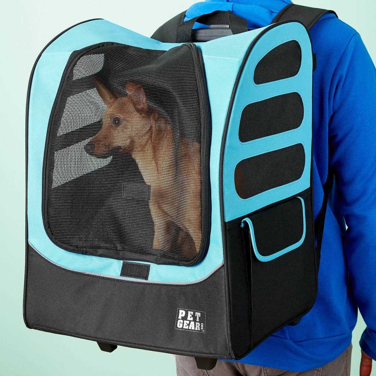 Gear I-GO2 Pet Carrier - Pet Supplies online store