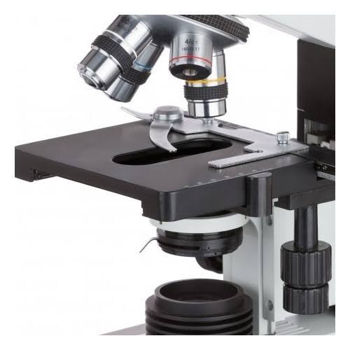 Amscope Binocular Biological Compound Microscope 40X-2000X