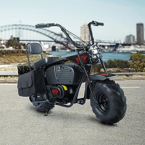 Oryxearth Electric Mini Dirt Bike, 36V Battery 1000W Motor Electrical Powered Motorcycle for Kids, 2 Speeds-15.5MPH/22 MPH, 2 Hanging Bags