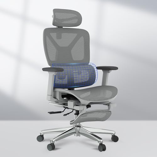 FLEXISPOT ErgoX Premium Ergonomic Office Chair with Footrest- Adjustable 3D Armrests, Dynamic Lumbar Support, Recline & Tilt Function, Mesh Seat