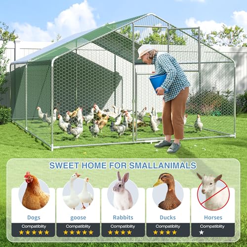 Polar Aurora Metal Chicken Coop, Large Outdoor Chicken Pen, Walk-in Chicken Run for 6-20 Chickens